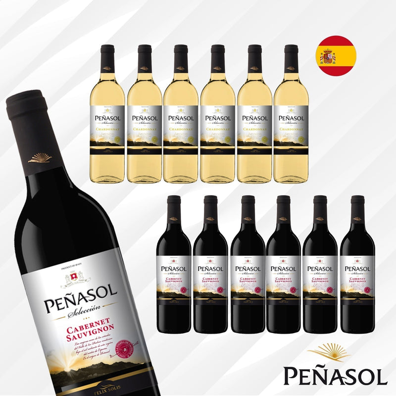 Peñasol Bundle of 12-Barcino Wine Resto Bar (6575755067461)